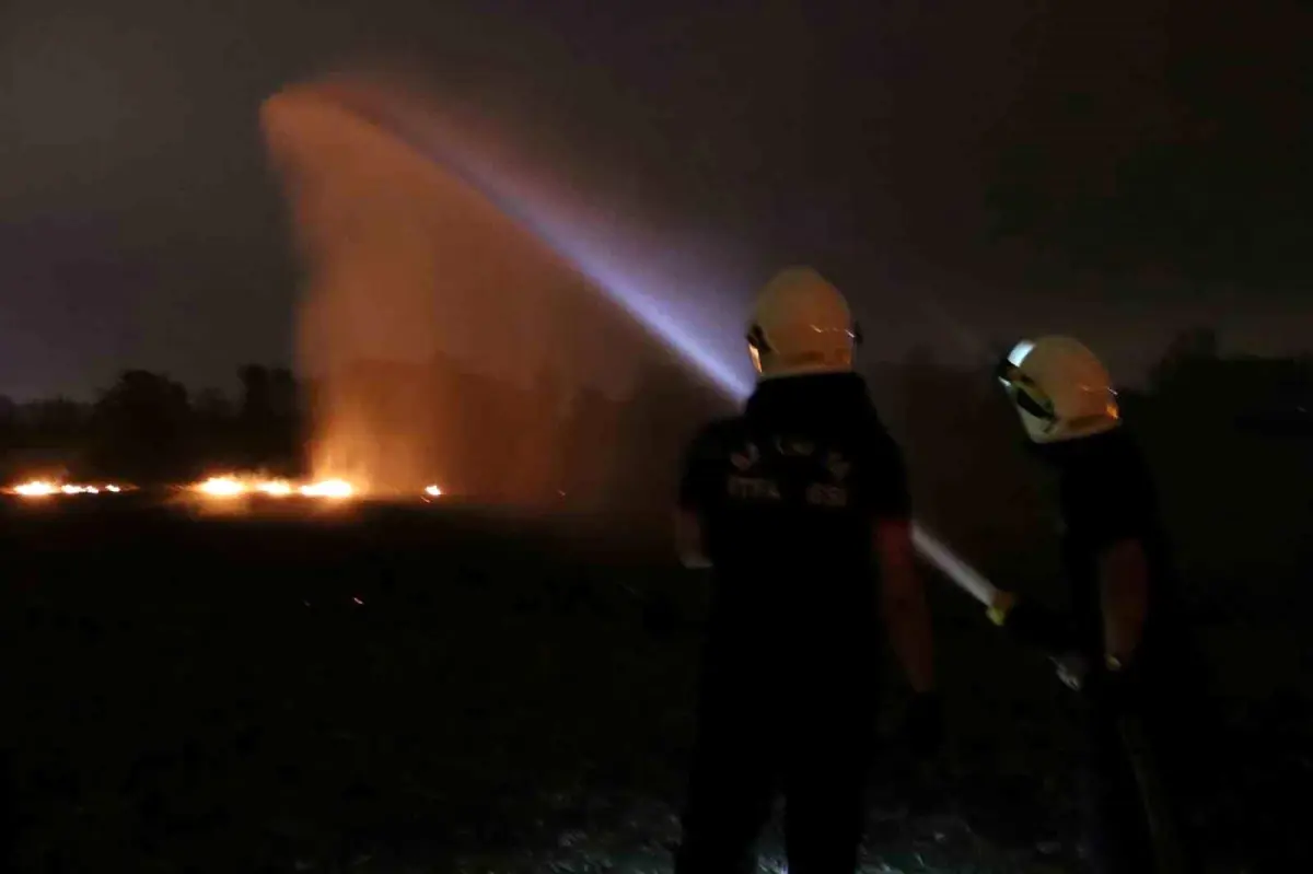 Sakarya’da Yasak Anız Yakma Yangına Sebep Oldu