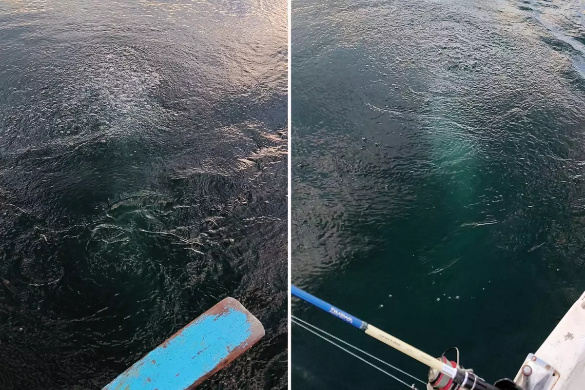 Bir şehrimiz, sudaki esrarengiz görüntüyü konuşuyor: Bayağı kaynıyor