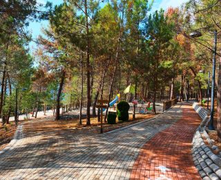 Sapanca Gölü kıyısında ‘huzur veren’ doğa projesi kapılarını açtı