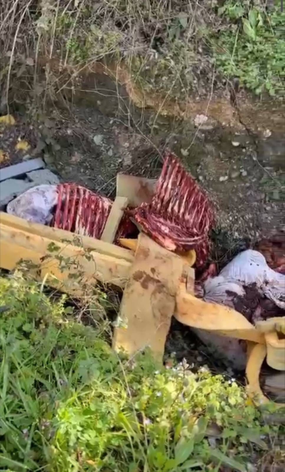 Erenler’de At Kemikleri Olayı Aydınlatıldı: 3 Şüpheli Tespit Edildi, 2 Kişi Gözaltında