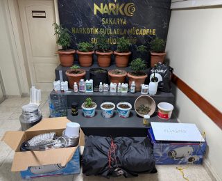 Geyve’de Kenevir Operasyonu: 2 Şüpheli Yakalan