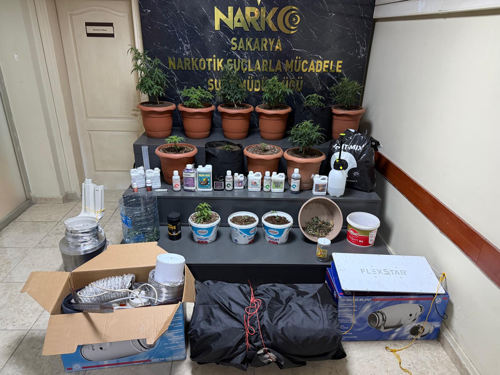 Geyve’de Kenevir Operasyonu: 2 Şüpheli Yakalan