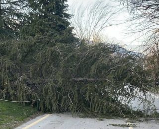 Şiddetli Rüzgar Sakarya’da Hayatı Olumsuz Etkiledi