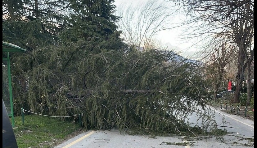 Şiddetli Rüzgar Sakarya’da Hayatı Olumsuz Etkiledi