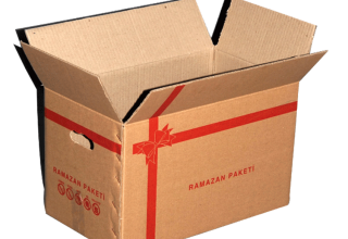 Kendi Evine Alır Gibi