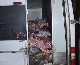 Sakarya’da 3 Tonun Üzerinde Sakatat Ele Geçirildi