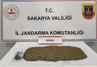 Sapanca’da Uyuşturucu Operasyonu: 1 Tutuklama