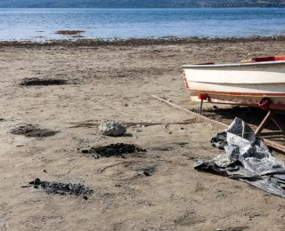 Sapanca Gölü İçin Kritik Uyarı