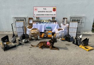 İki ilçede kaçakçılık baskını