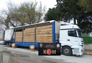 Hendek’te Dev Kaçakçılık Operasyonu: 8 Milyon Makaron Ele Geçirildi