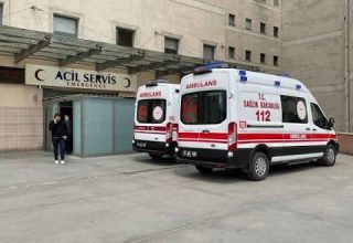 Babalarını Arabayla Ezerek Kaçtılar