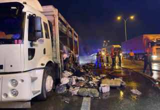 Sakarya’dan İstanbul’a Gidiyordu Alev Alev Yandı