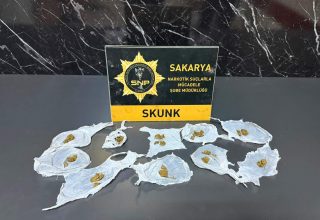 Serdivan’da Uyuşturucu Operasyonu: Skunk Ele Geçirildi, 1 Şüpheli Tutuklandı