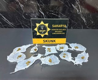 Serdivan’da Uyuşturucu Operasyonu: Skunk Ele Geçirildi, 1 Şüpheli Tutuklandı