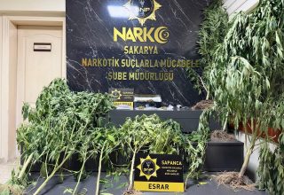 Sapanca’da Uyuşturucu Operasyonu: Esrar ve Hint Keneviri Ele Geçirildi